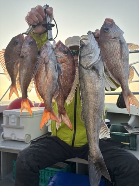 マダイ・スズキ