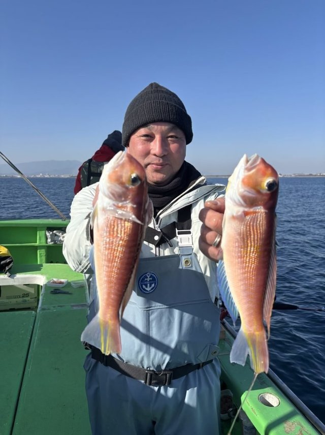 アマダイ(アカアマダイ)