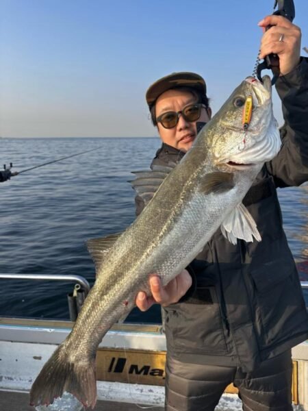 シーバス(スズキ)