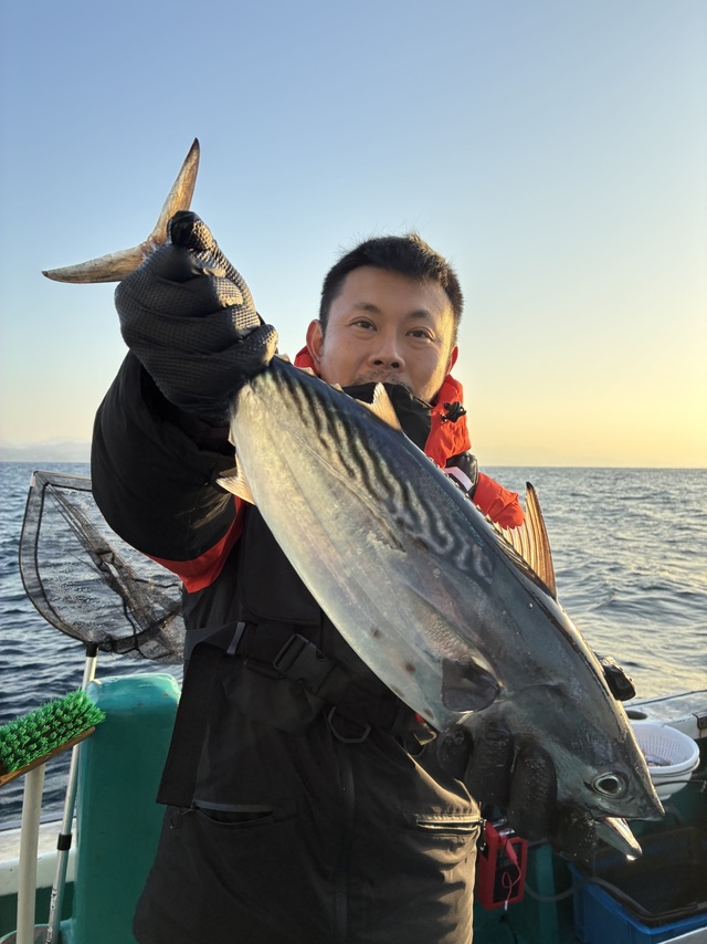 ヤイトガツオ(スマ)