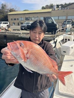 マダイ