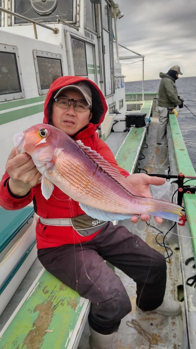 アマダイ(アカアマダイ)