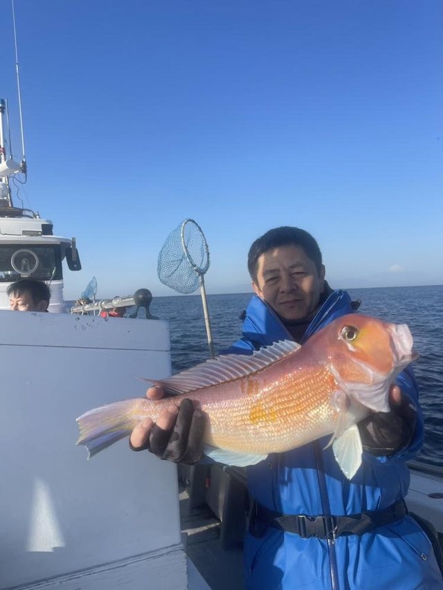 アマダイ(アカアマダイ)