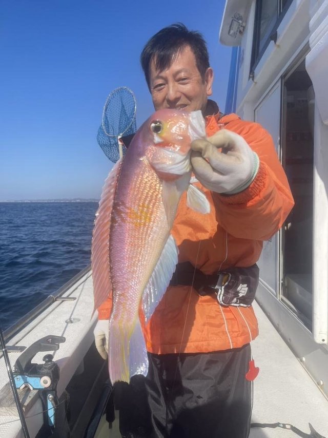 アマダイ(アカアマダイ)