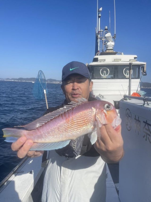 アマダイ(アカアマダイ)