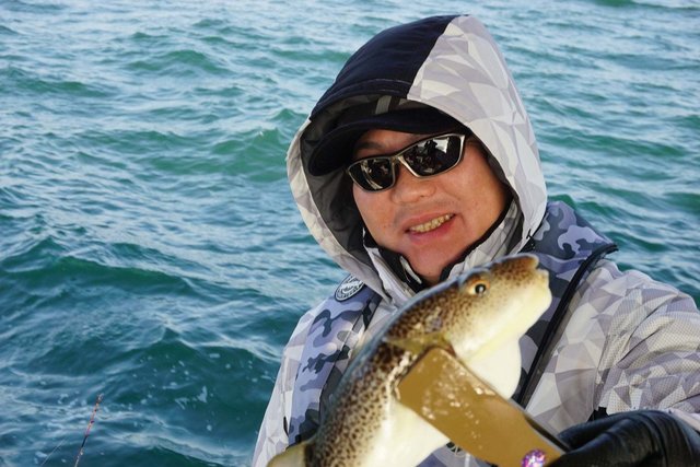 ショウサイフグ