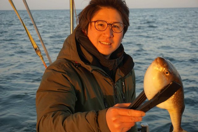 ショウサイフグ