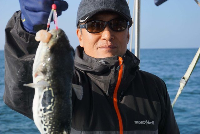 ショウサイフグ