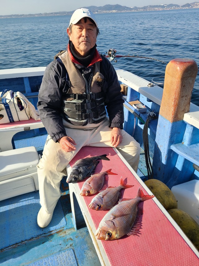 マダイ・クロダイ