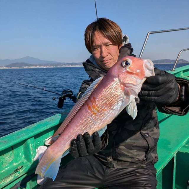 アマダイ(アカアマダイ)