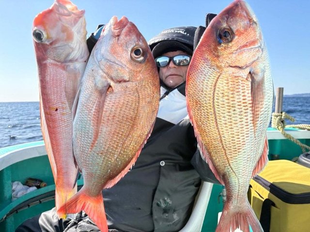 マダイ・アマダイ(アカアマダイ)