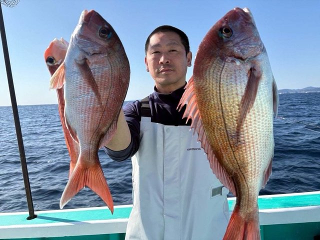 マダイ・アマダイ(アカアマダイ)