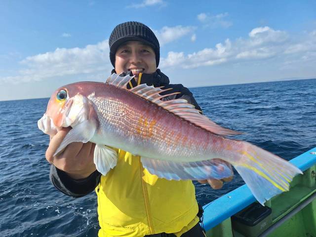 アマダイ(アカアマダイ)