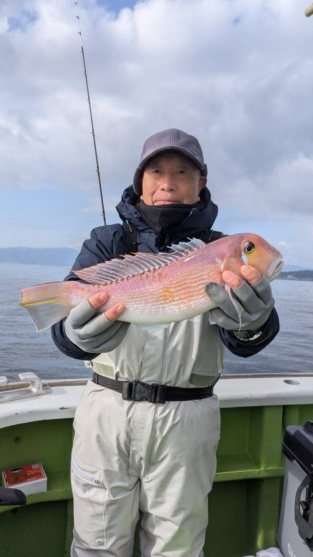 アマダイ(アカアマダイ)