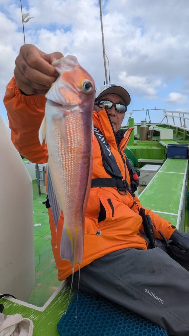 アマダイ(アカアマダイ)