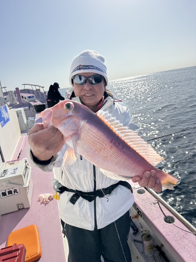 アマダイ(アカアマダイ)