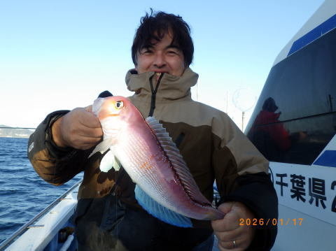 アマダイ(アカアマダイ)