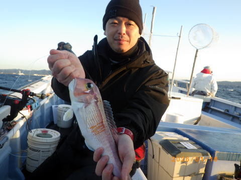 アマダイ(アカアマダイ)