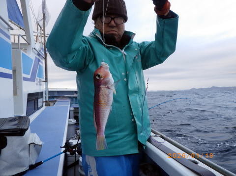 アマダイ(アカアマダイ)