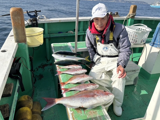 マダイ・イナダ(ブリ)