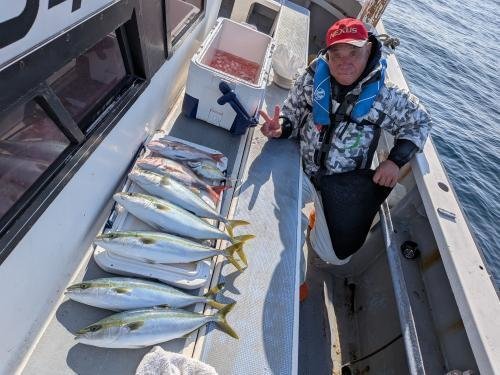 マダイ・カイワリ・イナダ(ブリ)