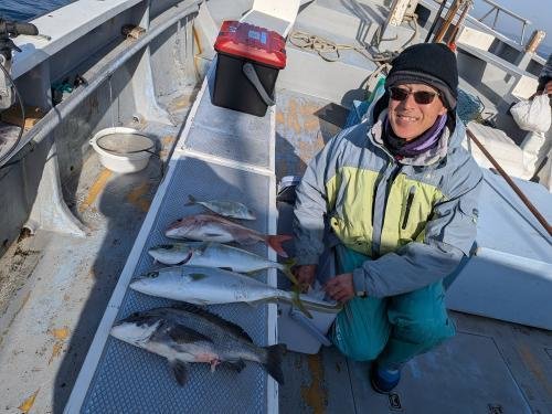 マダイ・クロダイ・カイワリ・イナダ(ブリ)