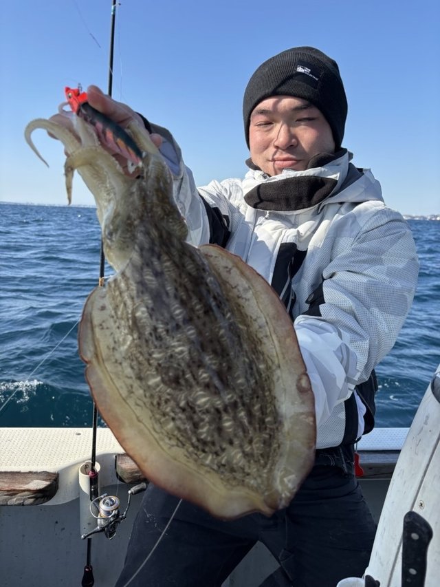 モンゴウイカ(カミナリイカ)