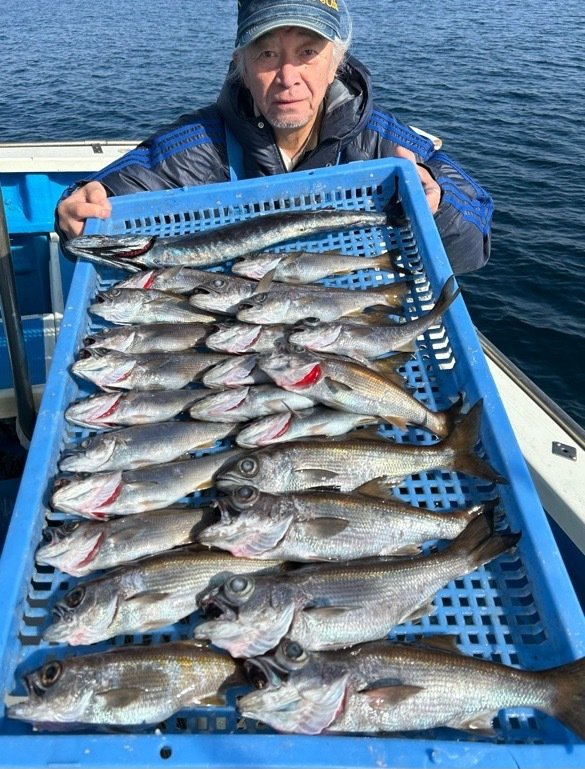 クロムツ・スミヤキ(クロシビカマス)