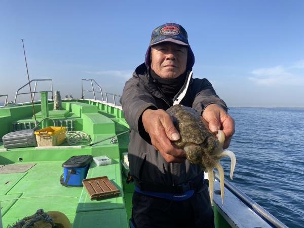 モンゴウ(カミナリイカ)