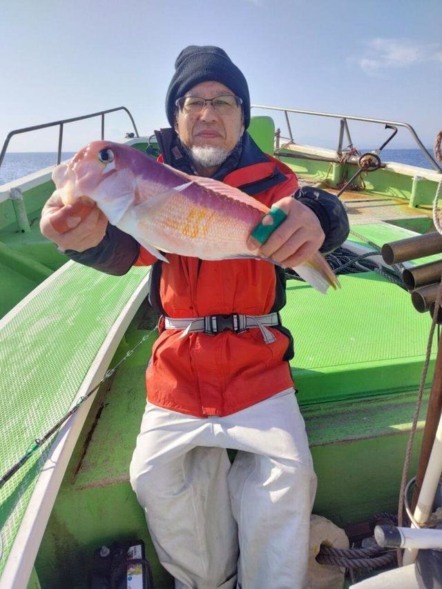 アマダイ(アカアマダイ)