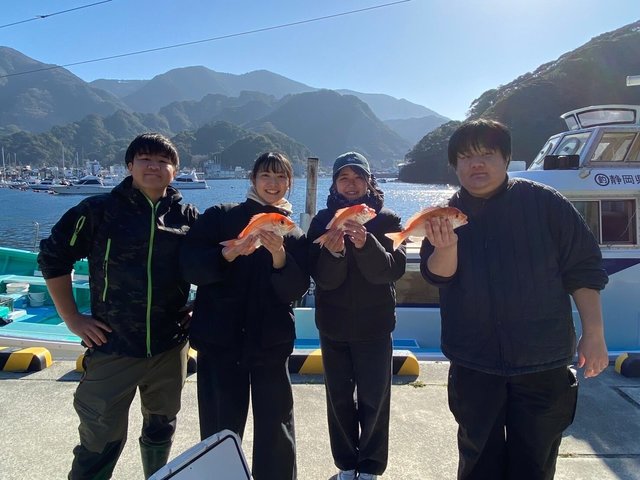 レンコダイ(キダイ)