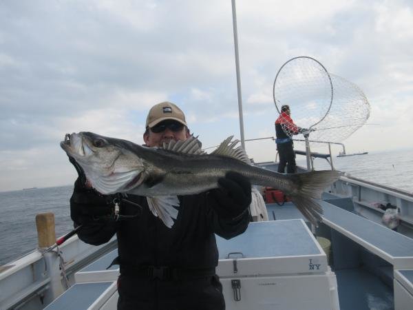 シーバス(スズキ)