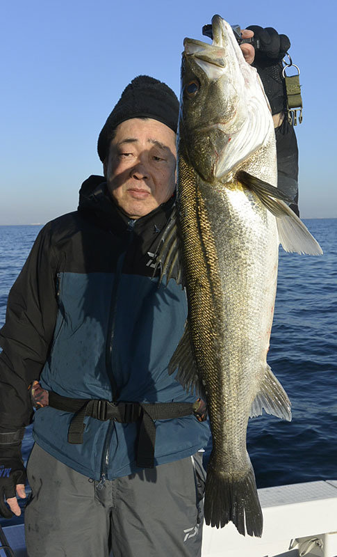 シーバス(スズキ)