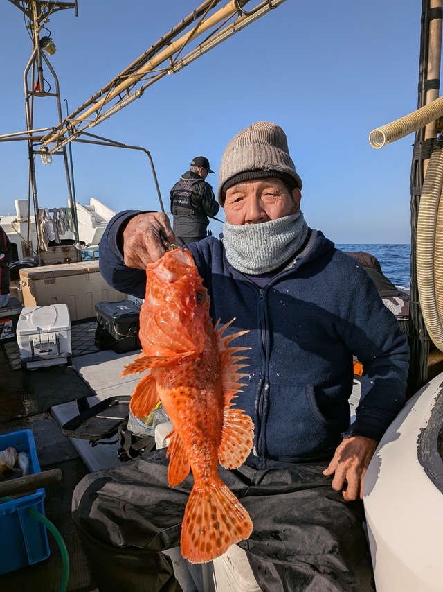 アラカブ(カサゴ)