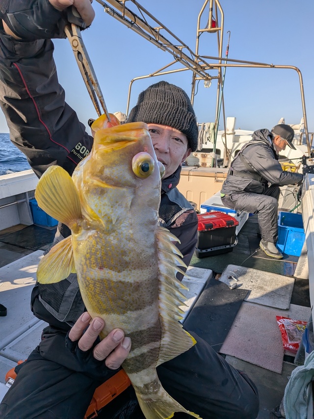 アオナ(アオハタ)