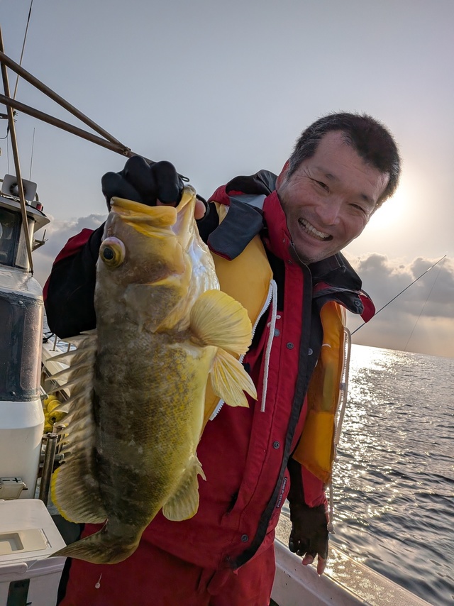 アオナ(アオハタ)