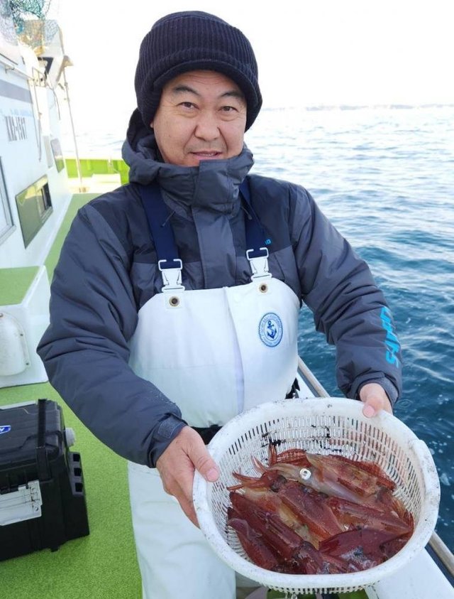 マルイカ(ケンサキイカ)