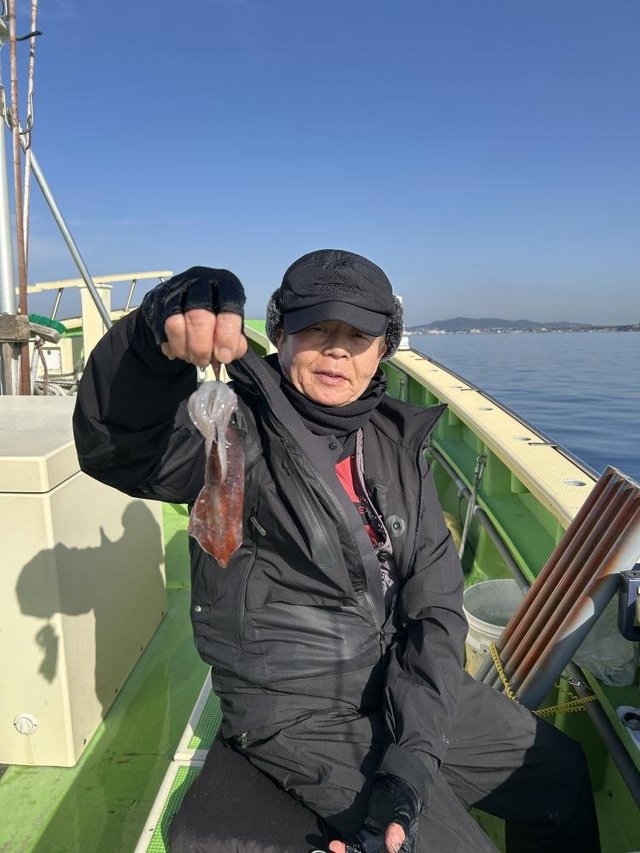 マルイカ(ケンサキイカ)