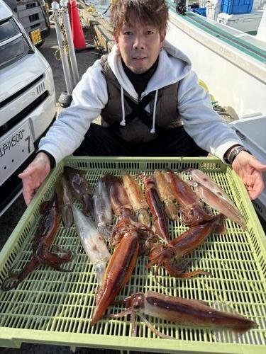 ヤリイカ・スルメイカ