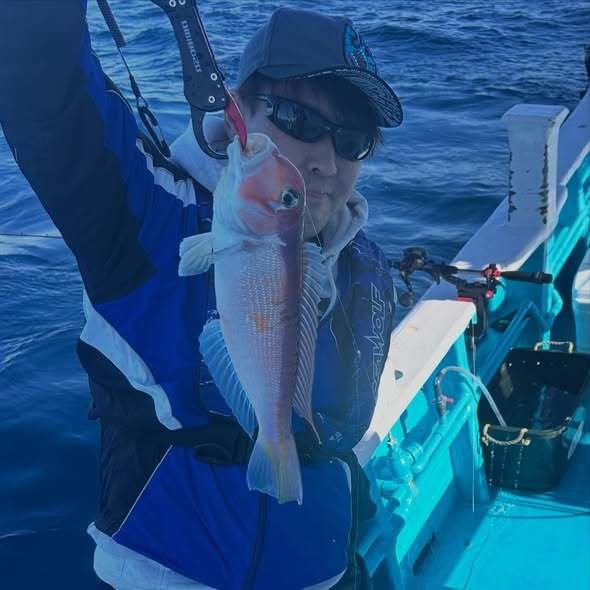 アマダイ(アカアマダイ)