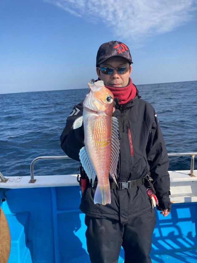 アマダイ(アカアマダイ)