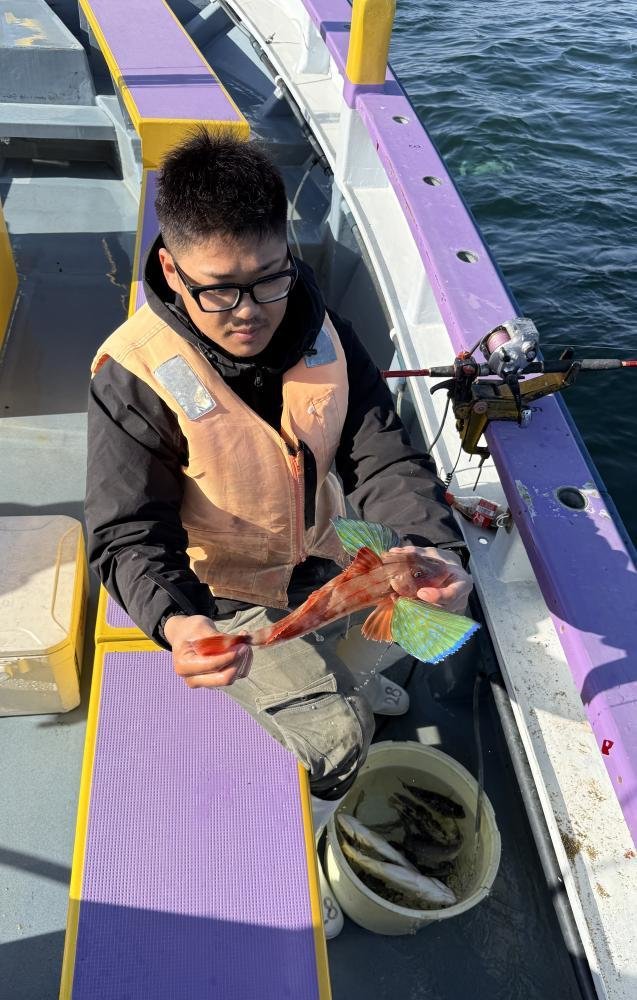 アジ(マアジ)・ホウボウ