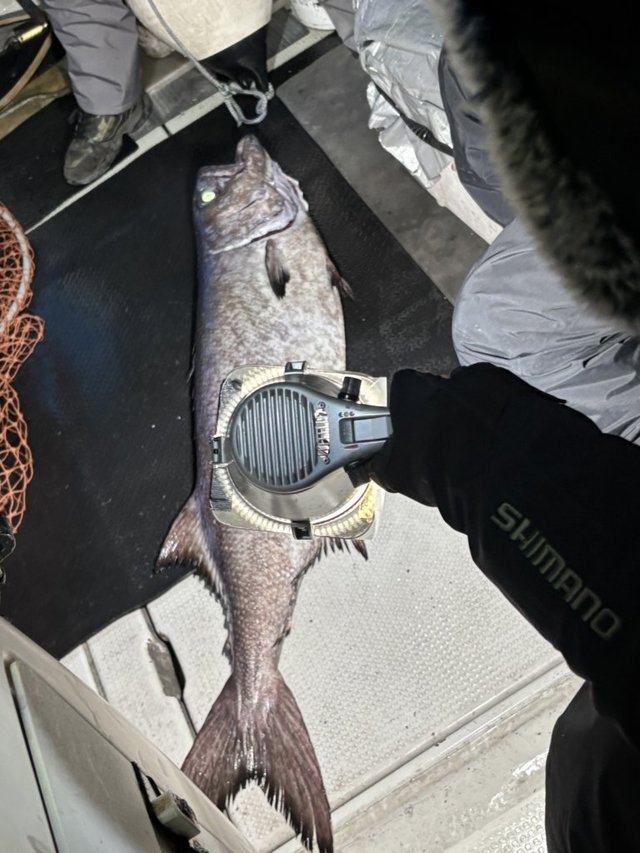 サットウ(アブラソコムツ)