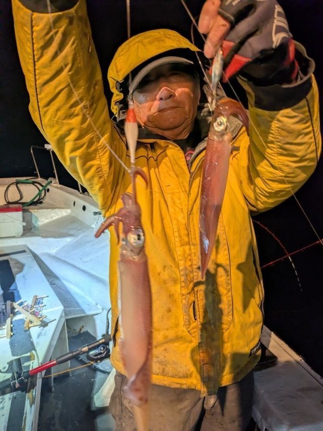 マルイカ(ケンサキイカ)