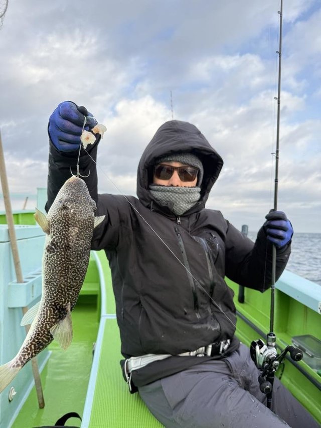 フグ(ショウサイフグ)