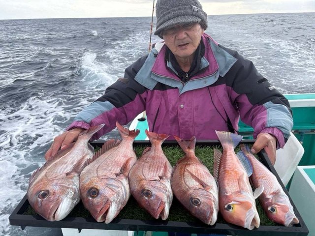 マダイ・アマダイ(アカアマダイ)