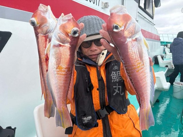 アマダイ(アカアマダイ)