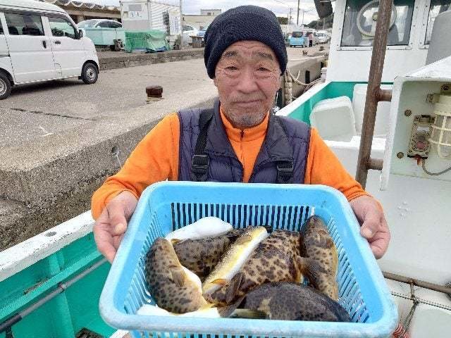 ヒガンフグ・ショウサイフグ