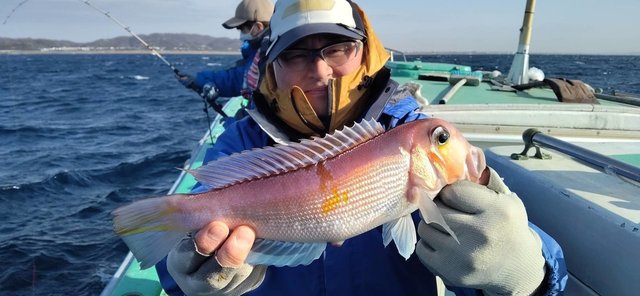 アマダイ(アカアマダイ)