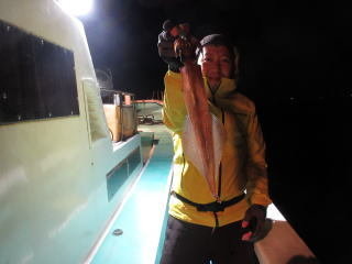 イカ(ヤリイカ)